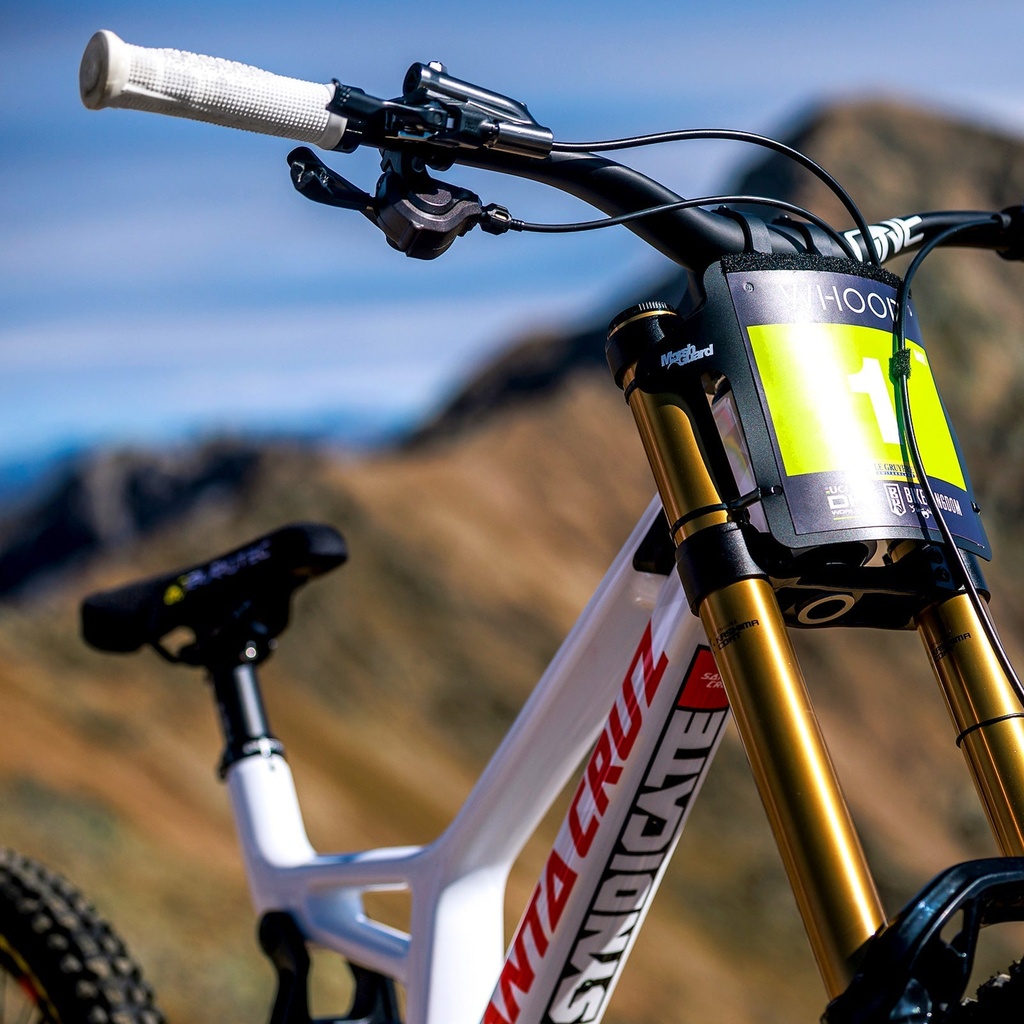 OneUp goldstone-grips image 55240556937588
